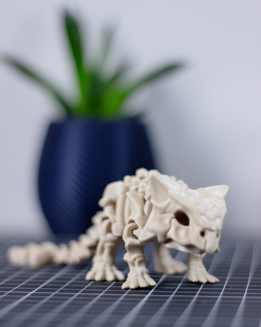 Skeleton Ankylosaurus - Imagem 1