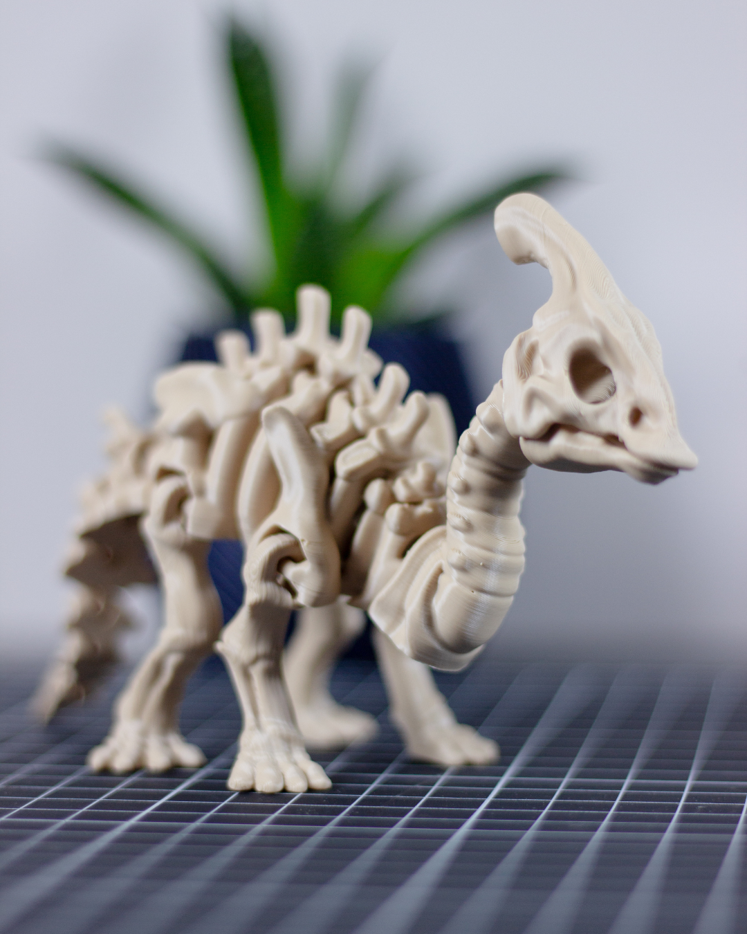 Skeleton Parasaurolophus - Imagem 1
