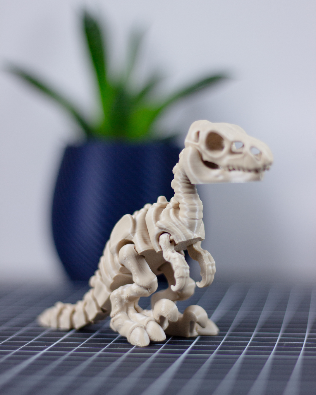 Skeleton Velociraptor - Imagem 1